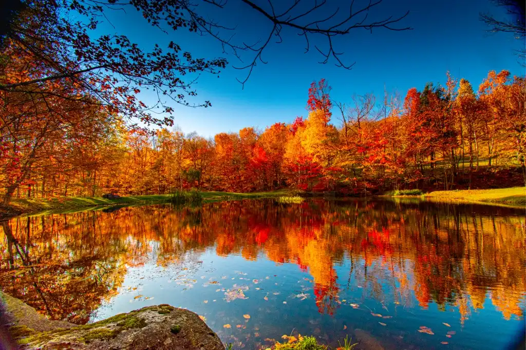 Follow These Simple Tips For Beautiful Fall Photography