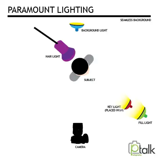 Paramount Lighting image 