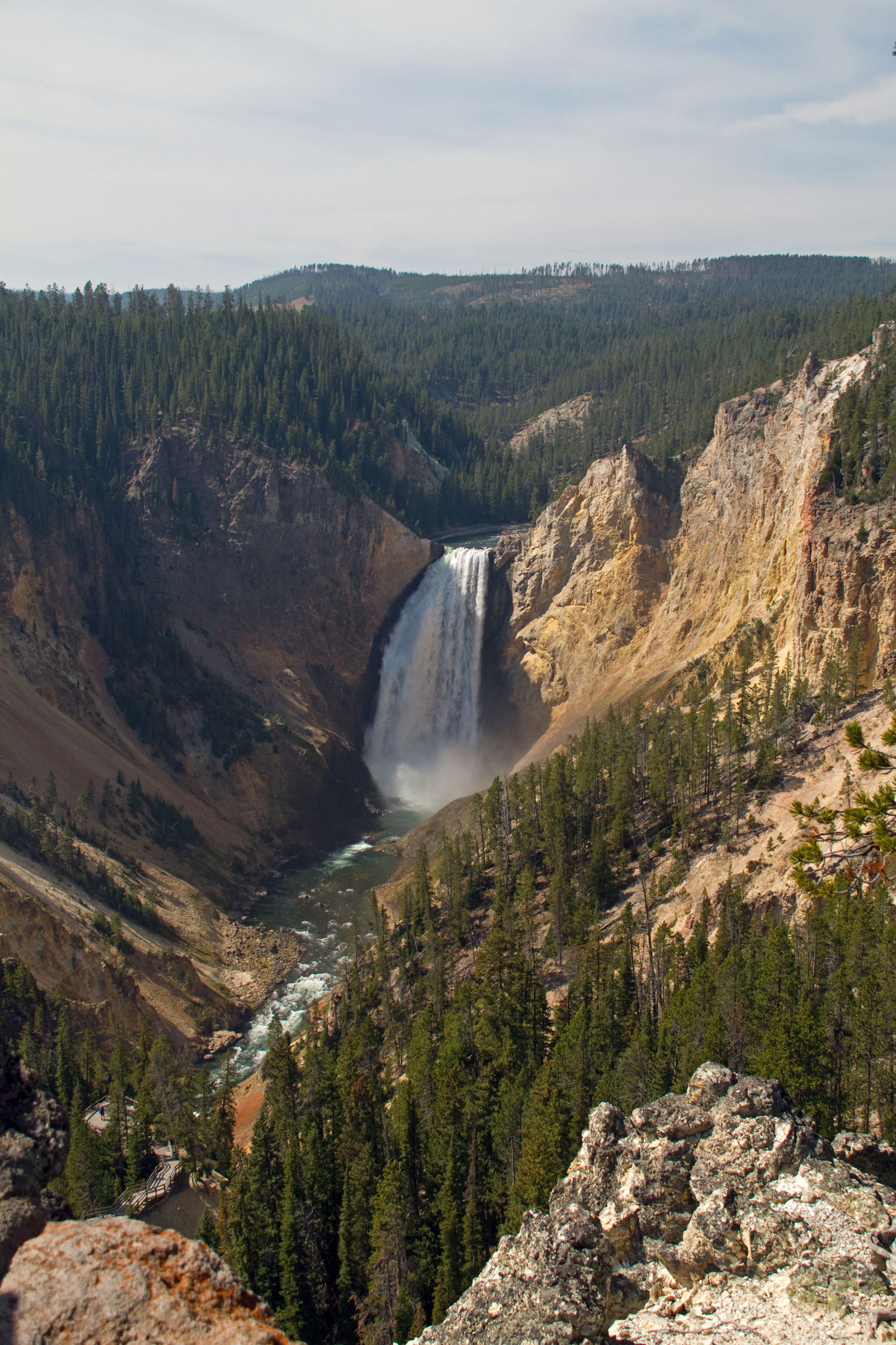 Grand Canyon of the Yellowstone Lower Falls 2 8044113957 image 