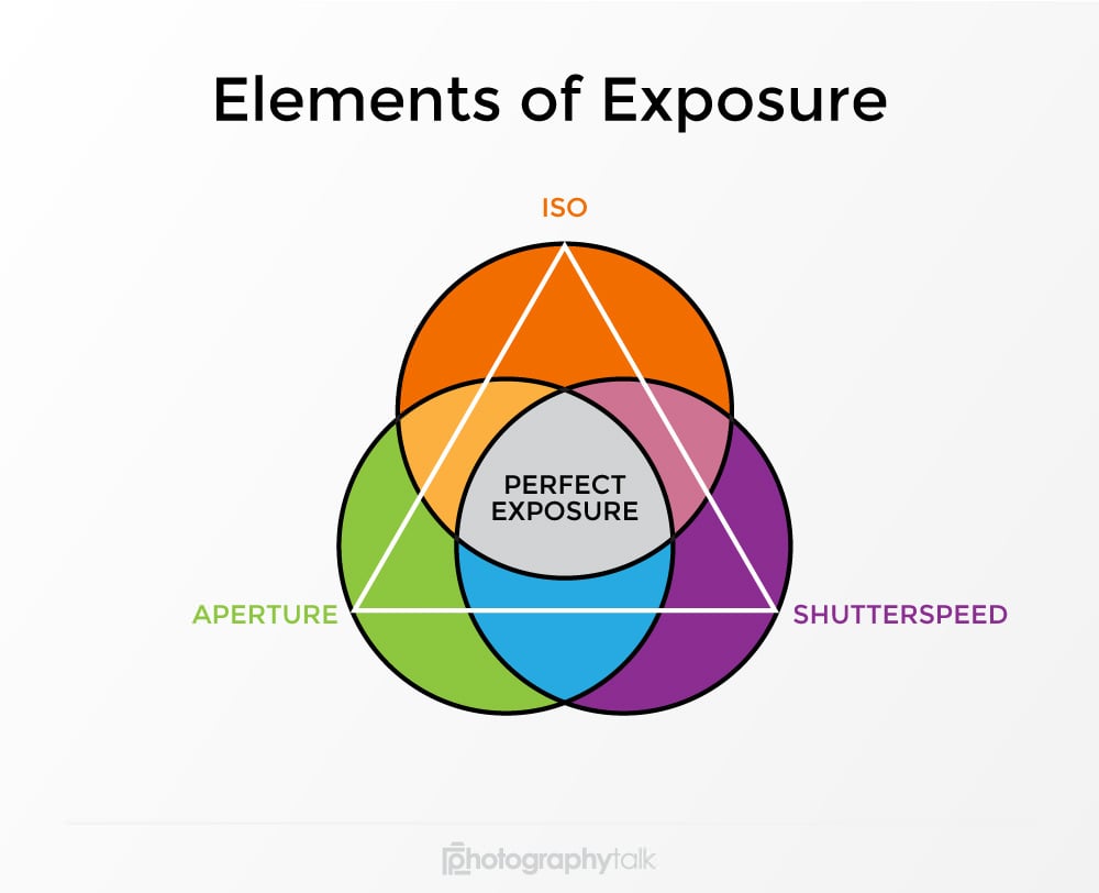 Elements of Exposure image 