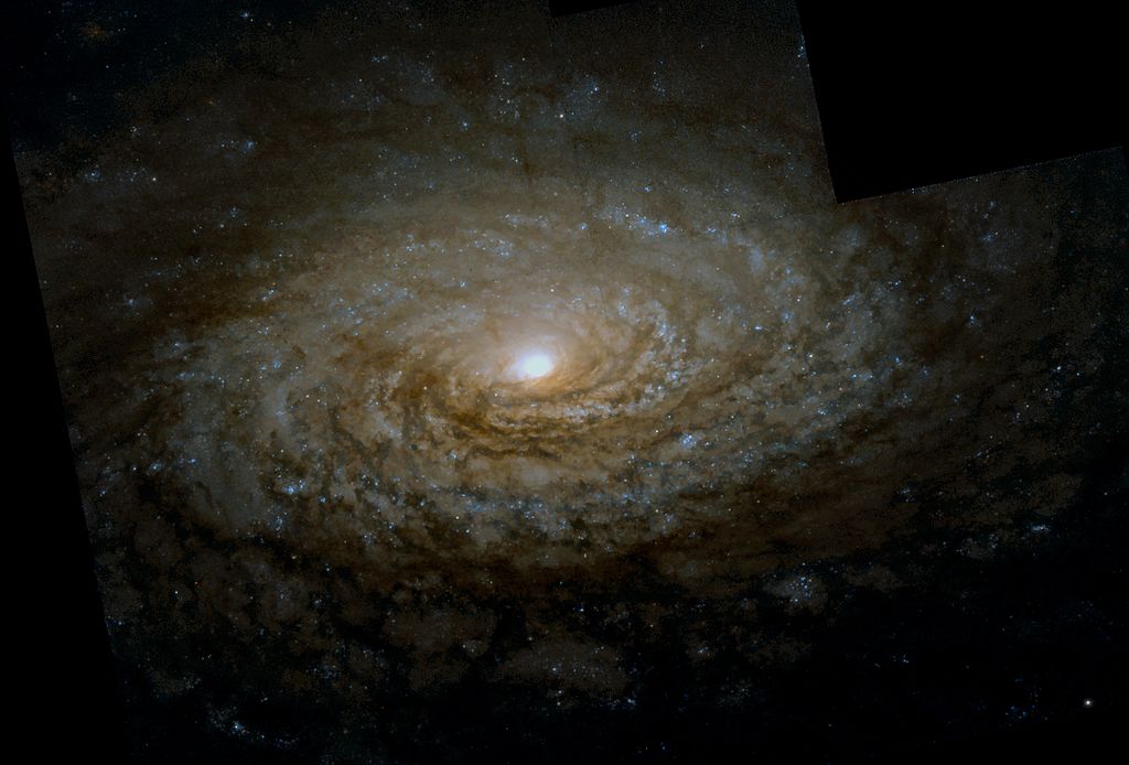 M63 NGC 5055 image 
