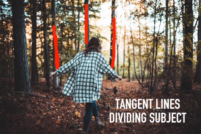 tangent lines 1 image 