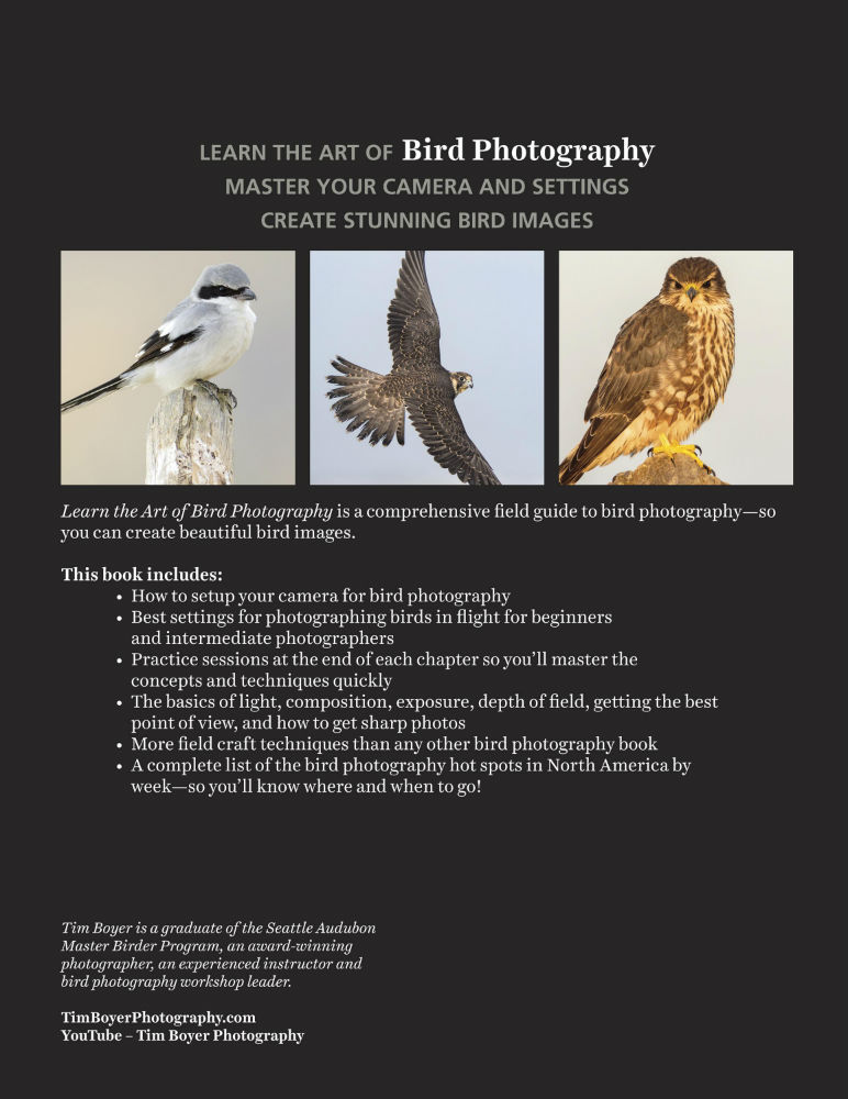 learn the art of bird photography image 