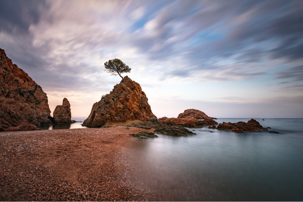 lonely tree on a rock picture id812090904 image 