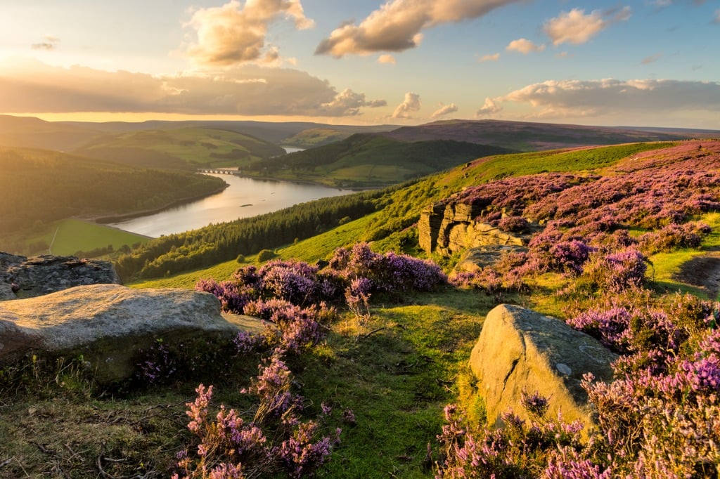 peak district sunset with heather picture id840651604 1 image 