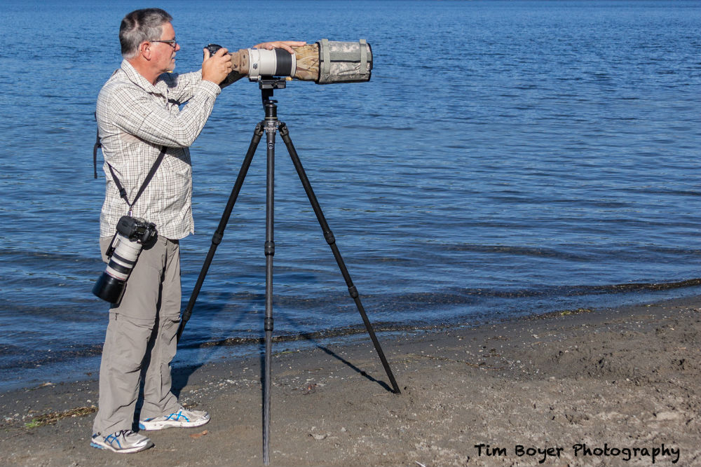 bird photography tips image 