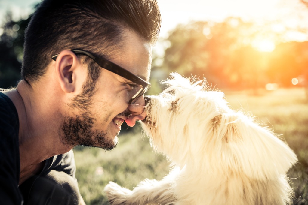 man playing with his dog picture id617890778 image 
