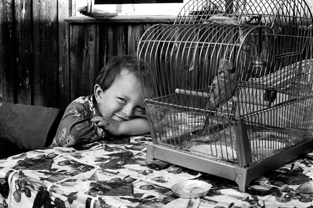 little child leningrad 1976 image 