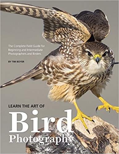 learn the art of bird photography image 