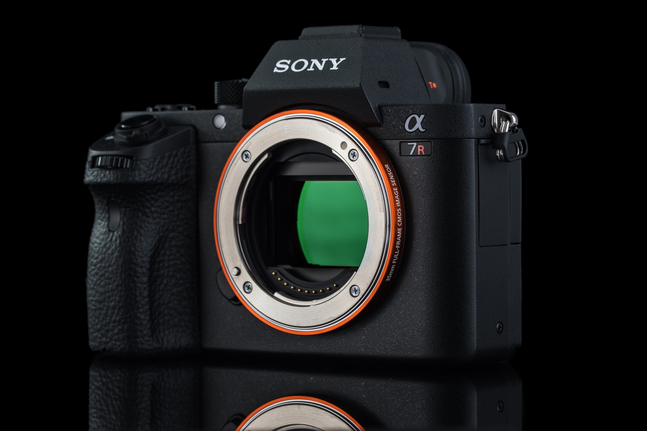 sony dominates camera market image 