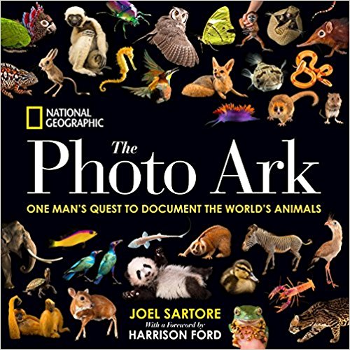 best books for photographers image 