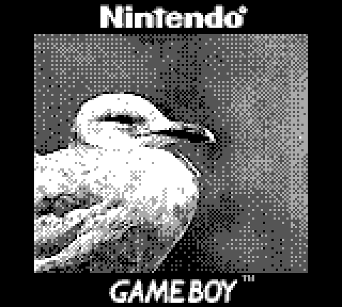 seagull gameboy camera image 
