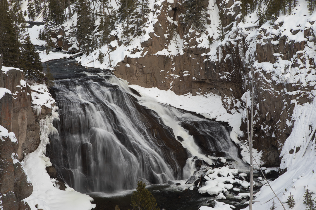Gibbons Falls Winter Yellowstone Photo Tour Workshop 2043