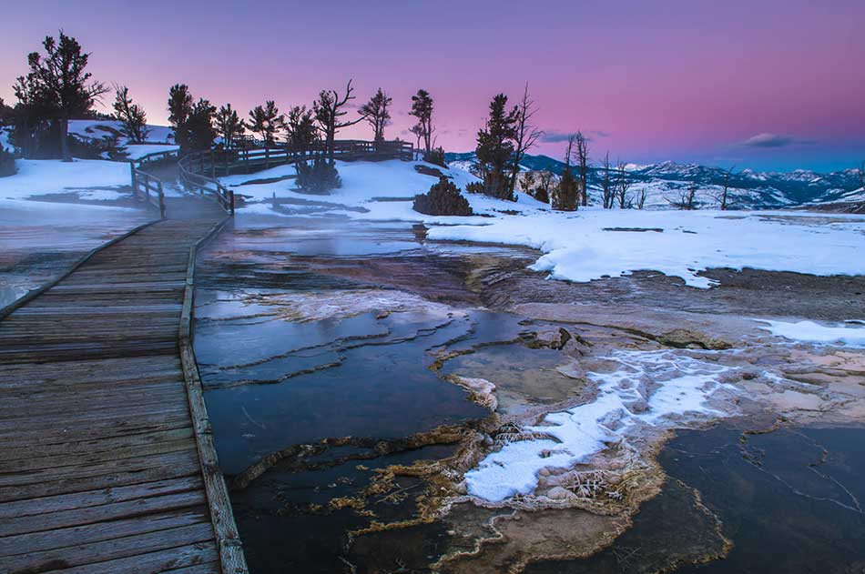surprising facts about yellowstone