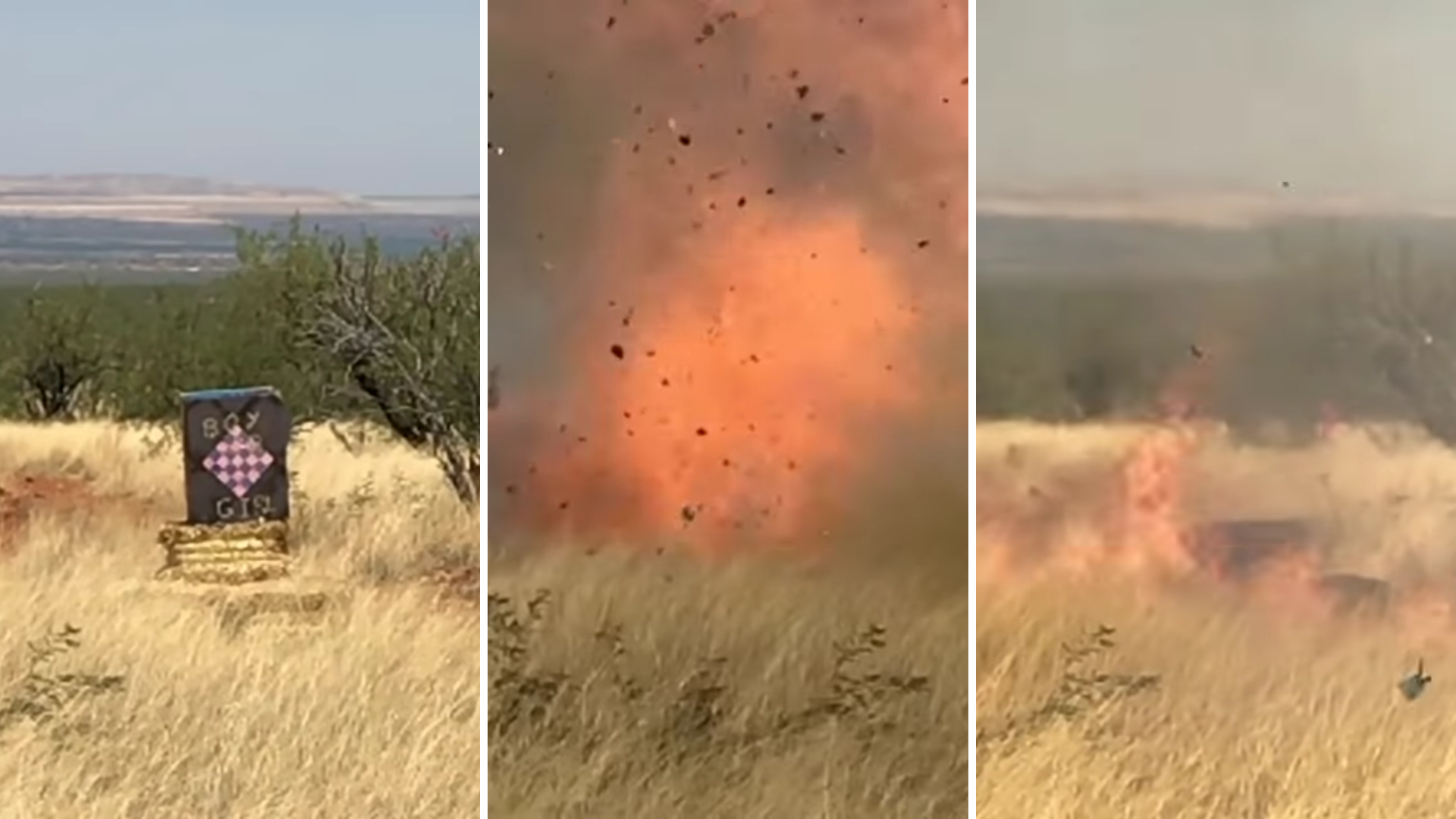 Gender Reveal Photo Shoot Sparks 8 Million Wildfire 
