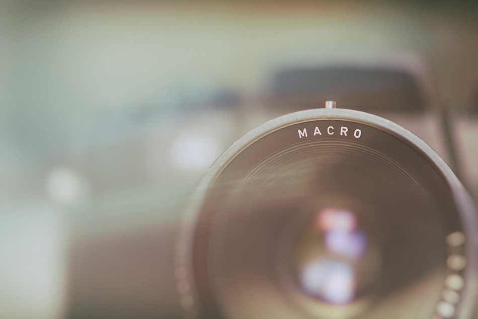 How to Choose a Macro Lens