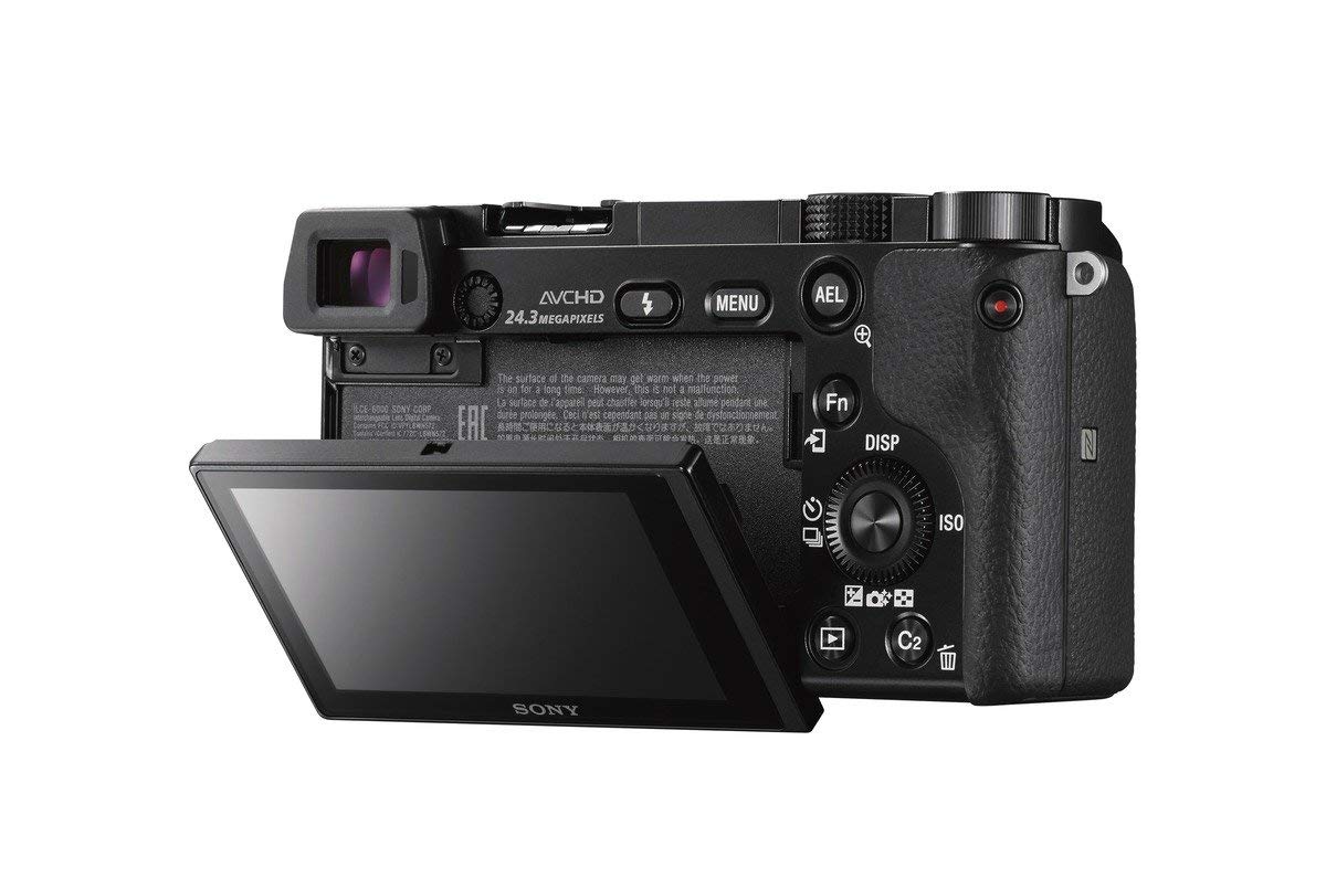 Sony a6000 vs Fujifilm X T10 viewfinder 2 image 