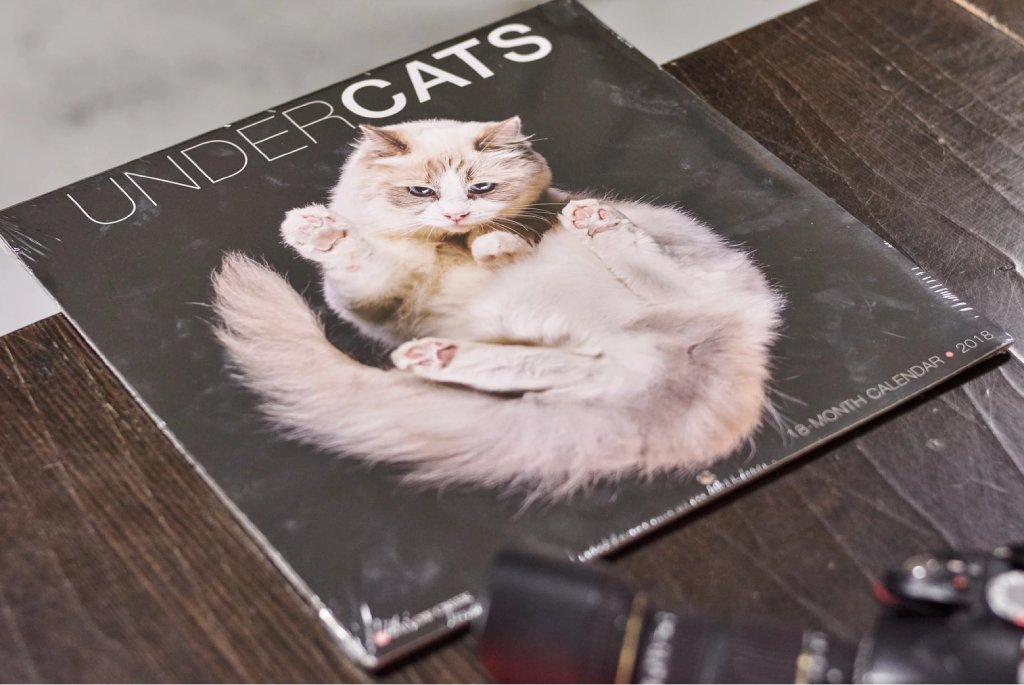 cat calendar image 