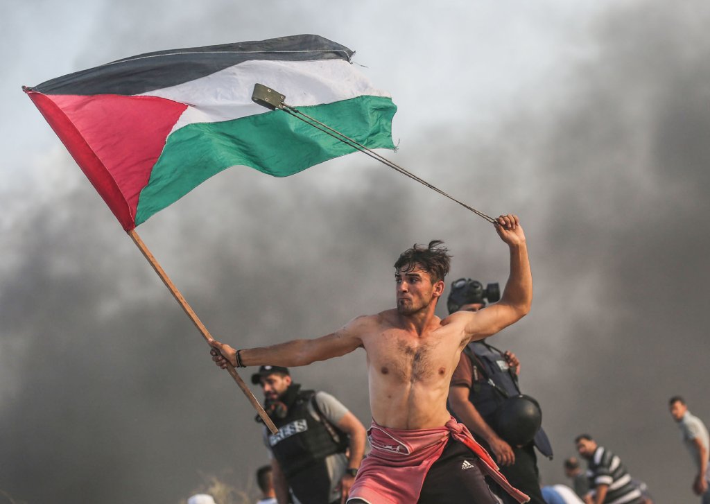 palestinian protestor image 