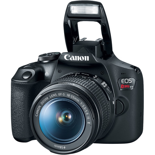 canon t7 Video Performance image 
