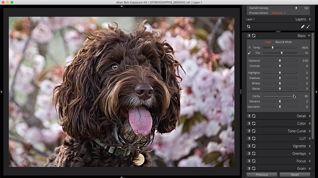 how to edit a flat photo clarity 2 image 