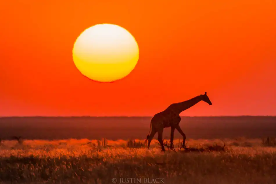 namibia photography and travel guide image 