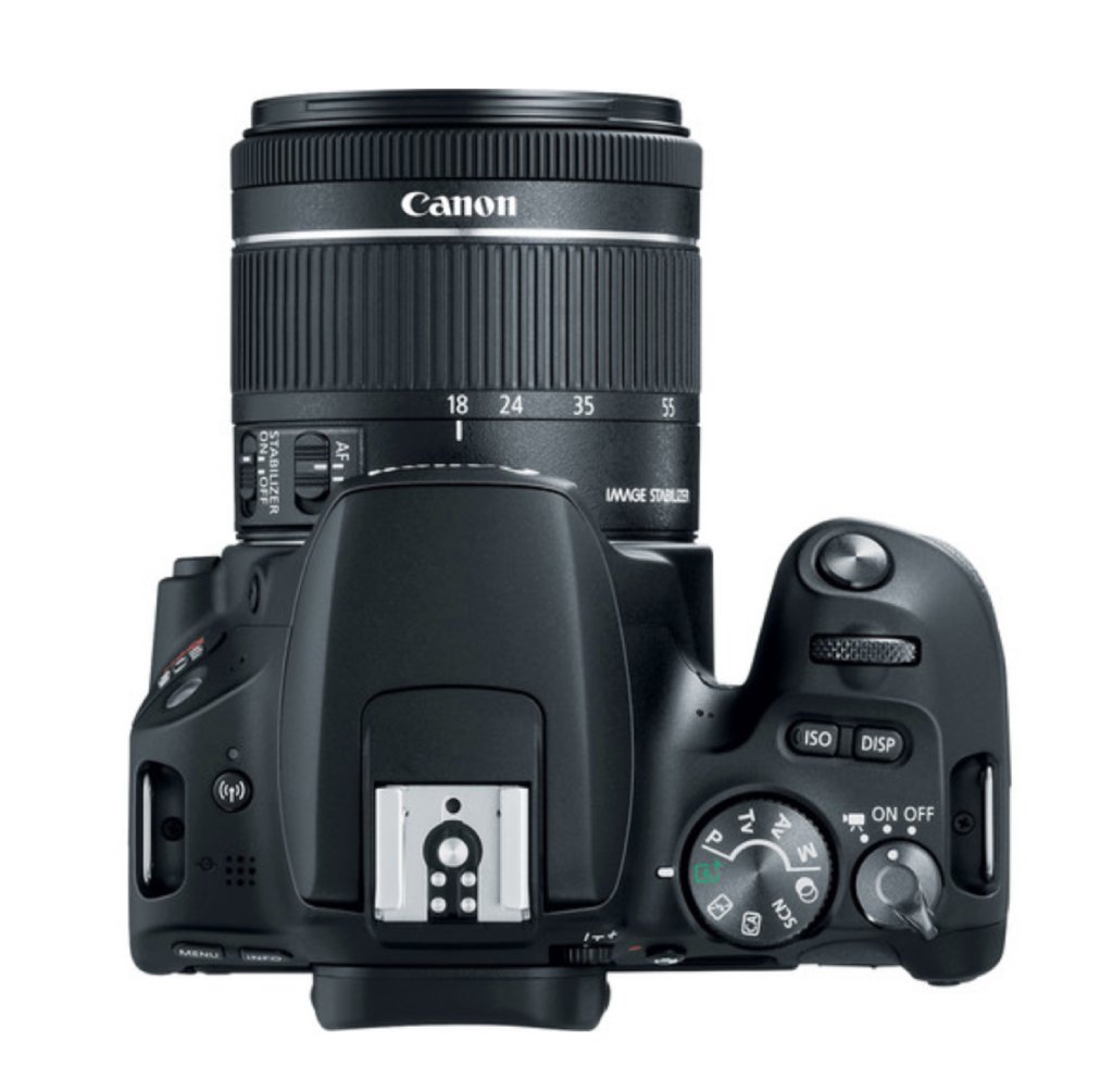 Canon EOS Rebel SL2 Review – PhotographyTalk