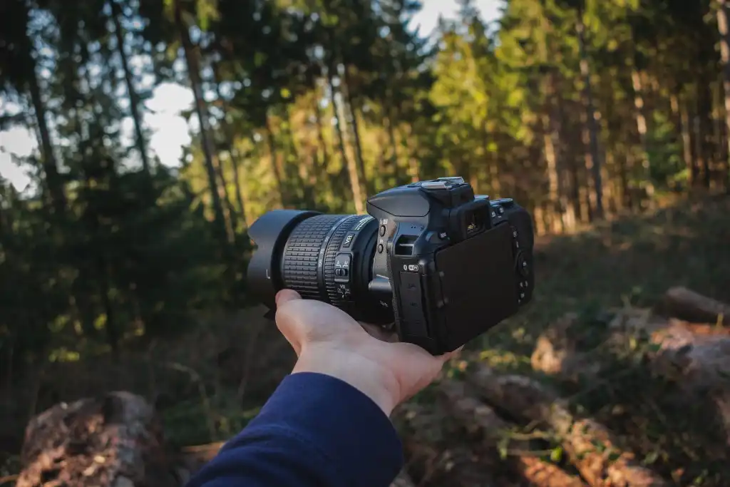 5 Tips for Shooting with Nikon D5500 / D5600 
