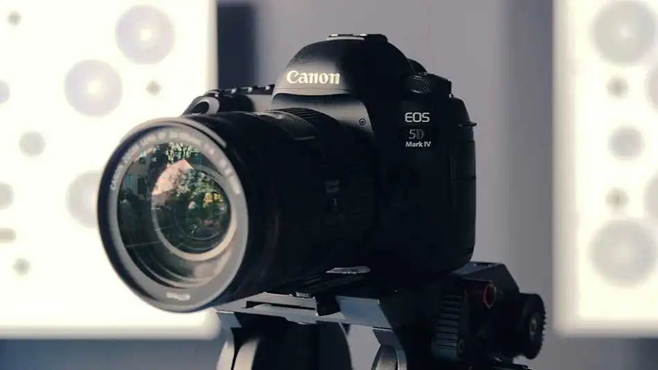 5 Things to Know Before You Buy a Canon 5D Mark IV in 2022 image 