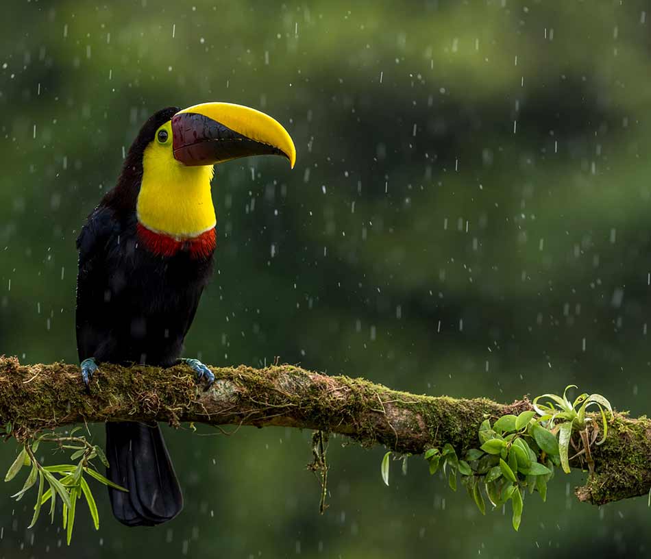 costa rica photography tour 1 image 