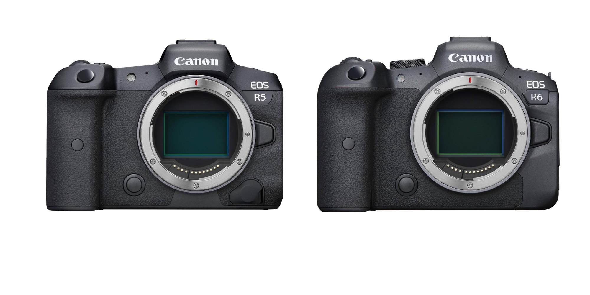 Canon Officially Announces EOS R5 and EOS R6