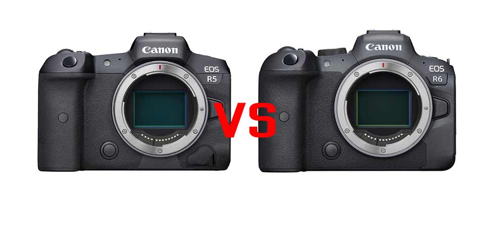 canon eos r5 vs eos r6 image 