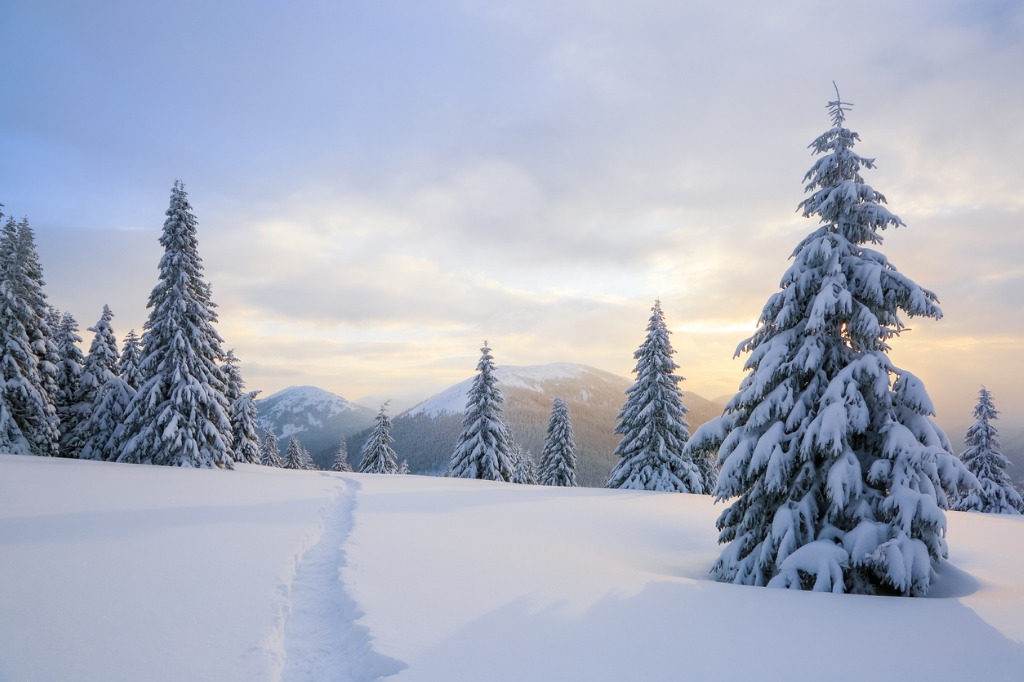 best camera settings for snowy landscapes image 