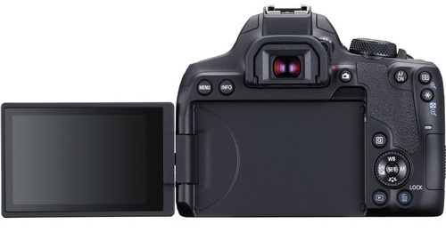 Canon EOS Rebel T8i Video Performance