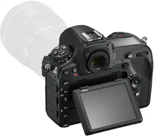 Majestic Hornet bush Nikon D850 Review in 2021 | PhotographyTalk