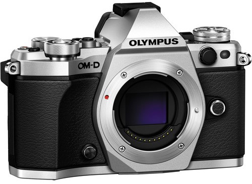 the Olympus OM D E M5 Mark II is a Great Beginner Camera image 