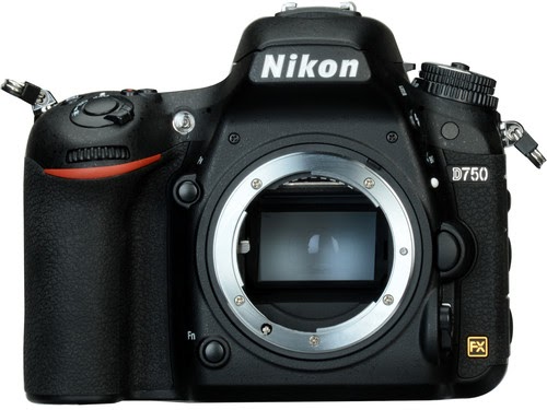 Nikon F Lens Mount image 