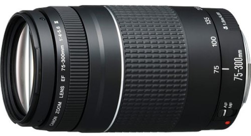 Canon EF S 18 55mm 3.5 5.6 IS STM kit lens