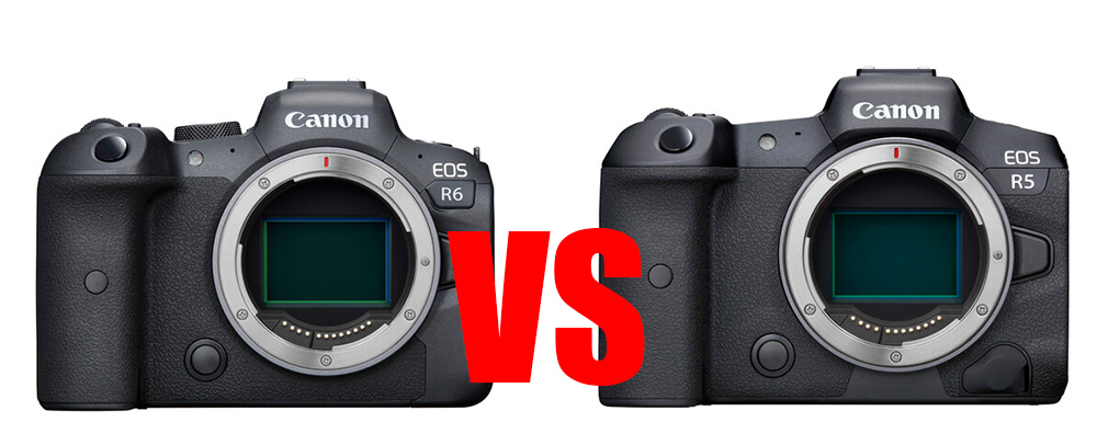 canon eos r6 vs r5 image 