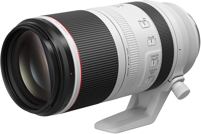 Everything You Need to Know About the Canon RF 100 500 Lens image 