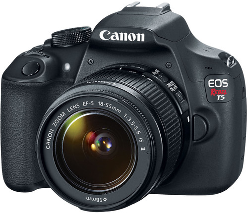 On a Budget Try the Canon EOS Rebel T5 image 