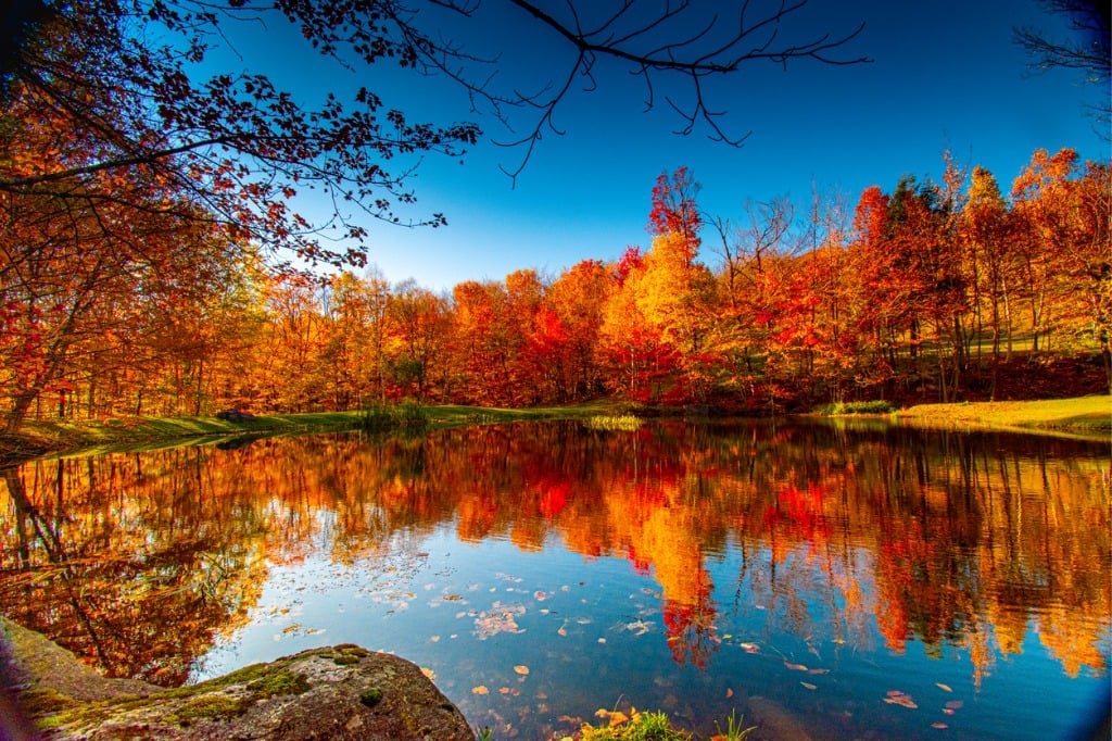 Follow These Simple Tips for Beautiful Fall Photography image 
