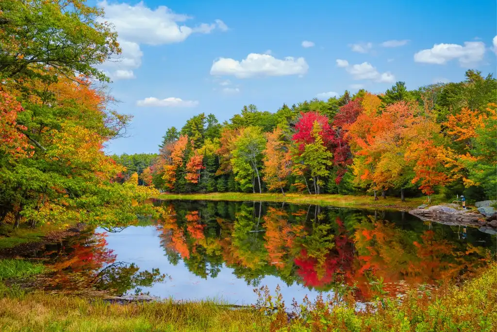 Follow These Simple Tips for Beautiful Fall Photography