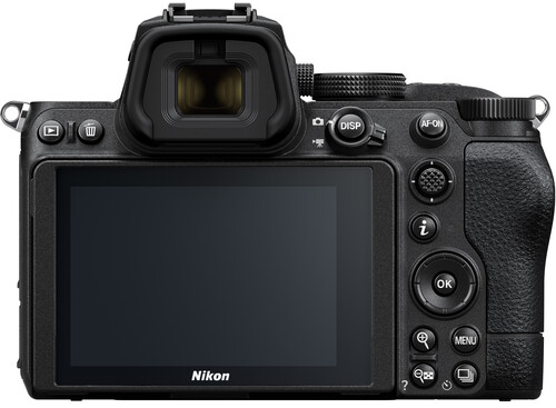 Nikon Z5 vs Nikon Z6 Imaging Performance 2 image 