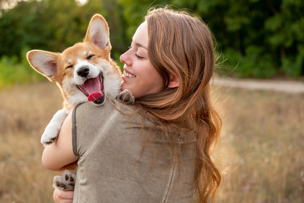 Use These Pet Photography Tips to Get the Best Results image 