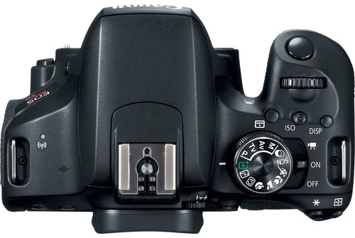 Handling and Ergonomics of the Canon EOS Rebel T7i image 