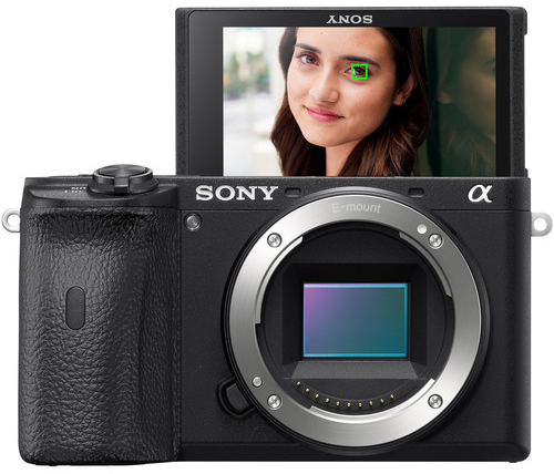 Sony Alpha a6600 Video Performance image 