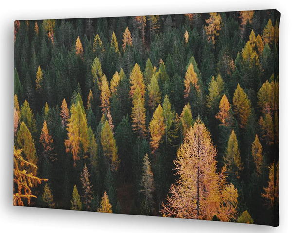 Standard Canvas Print Sizes Landscapes image 