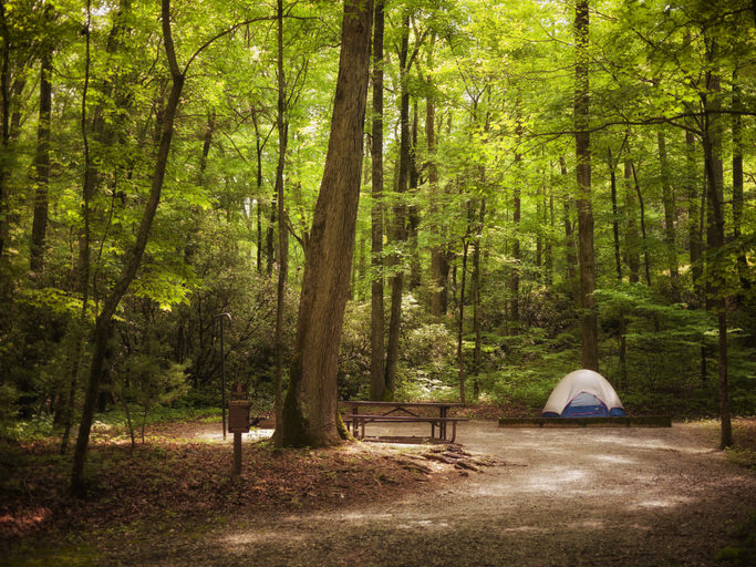 Camping on a Budget Choose a Low Cost Camping Destination image 