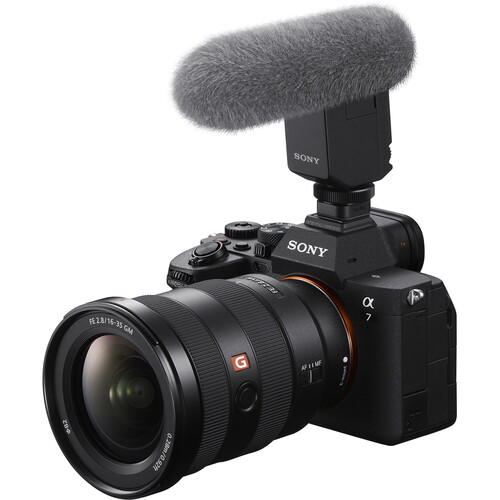 Sony Alpha a7 IV Review Video Capabilities image 